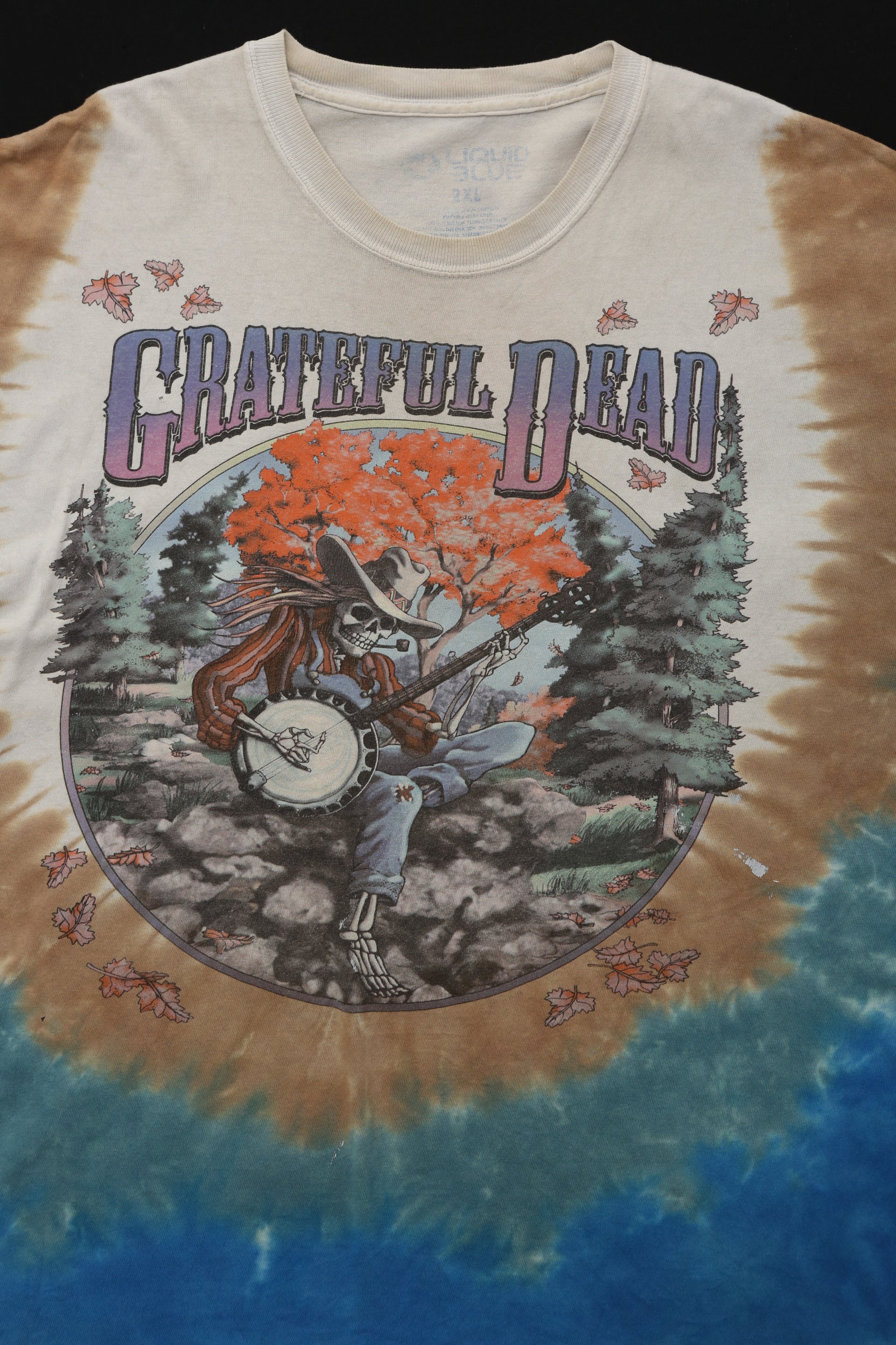 1994 Grateful Dead Fall Tour REPRINT(2000) Tie Dye T-Shirt