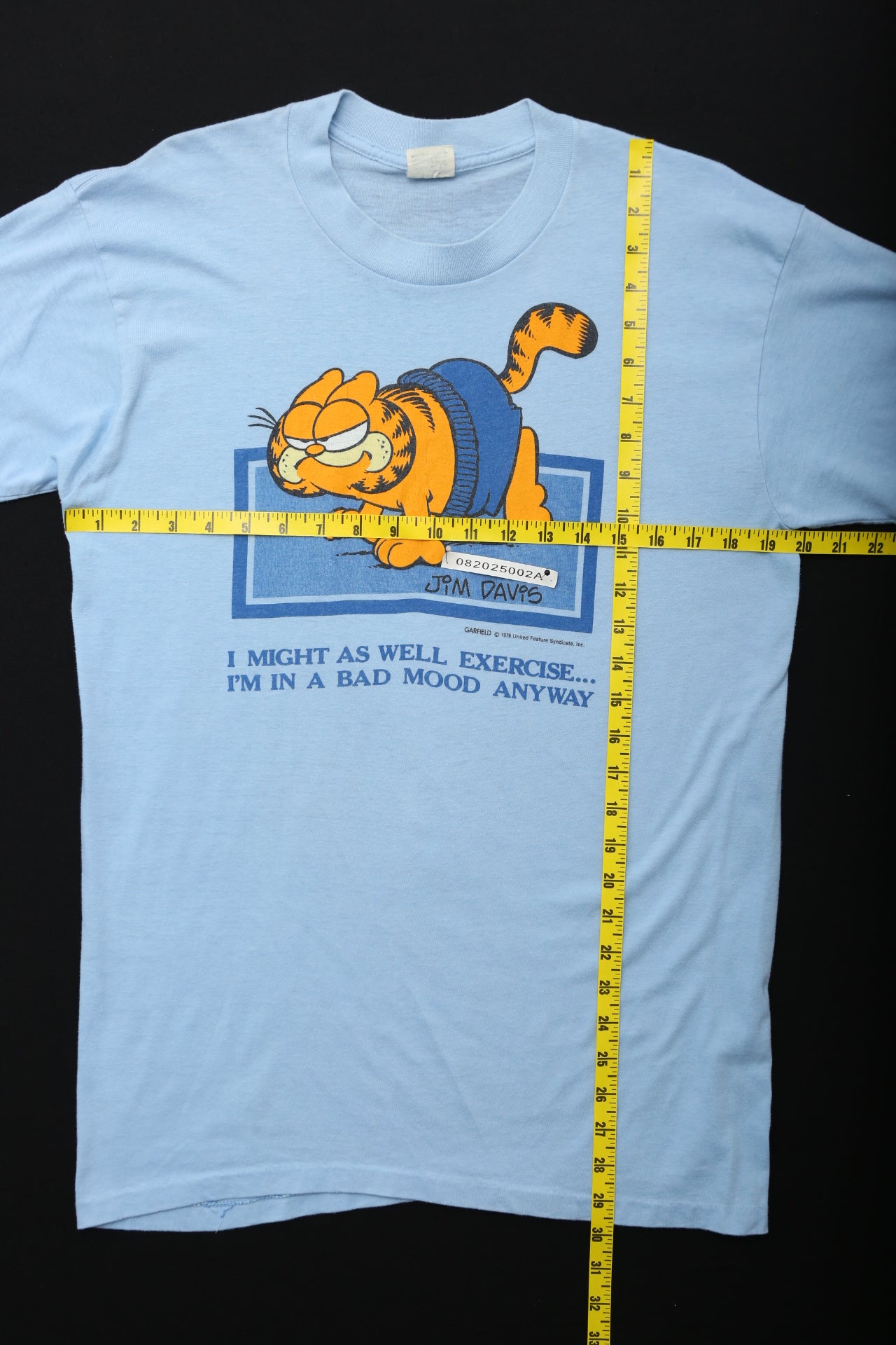 1978 Blue Garfield Graphic T-Shirt